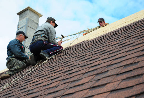 Best Metal Roofing Contractor  in Biscayne Park, FL